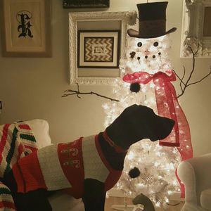 Meet your Posher, Cheryl